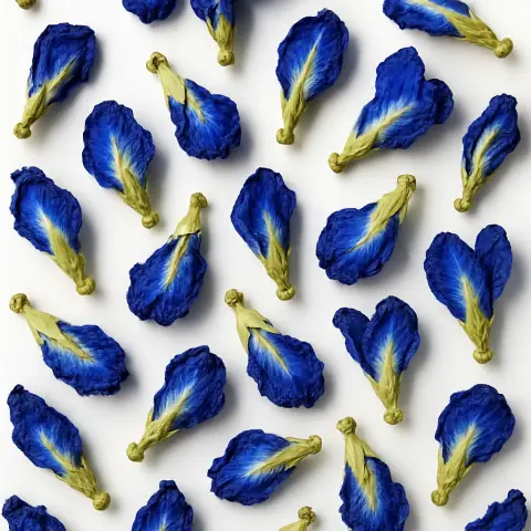 蝶豆花