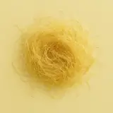 옥수수 수염 차