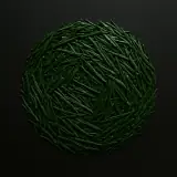 玉露