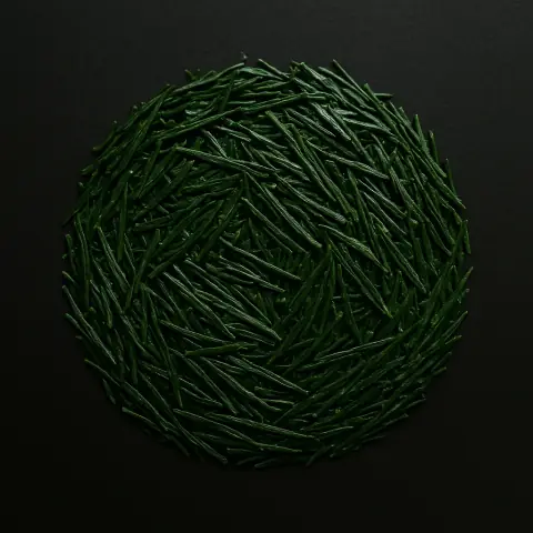 Gyokuro