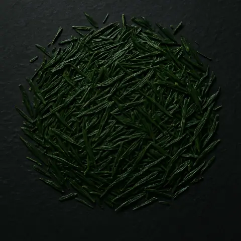Kabusecha
