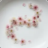 梅の花茶