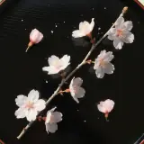 桜茶