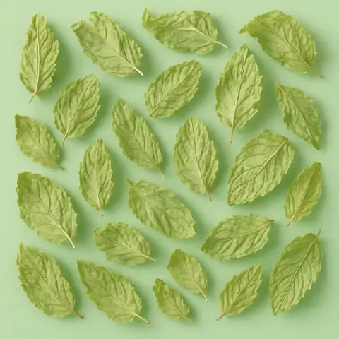 Grüne Minze